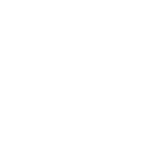 Local guide