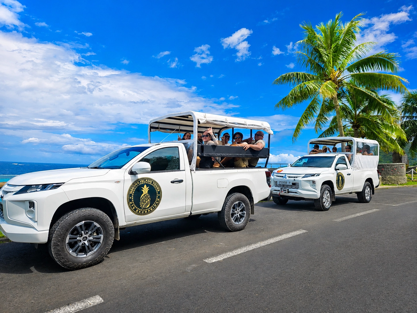 Safari Tours